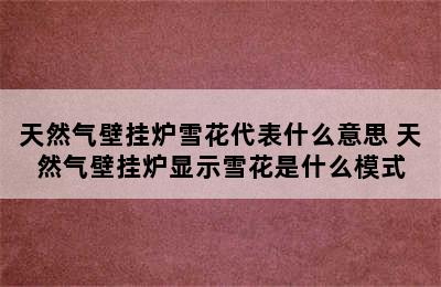 天然气壁挂炉雪花代表什么意思 天然气壁挂炉显示雪花是什么模式